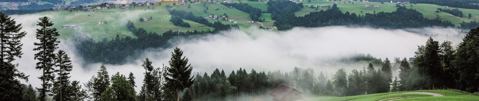     The Bregenzerwald region is known for rooted agriculture and handicraft but with a modern touch 